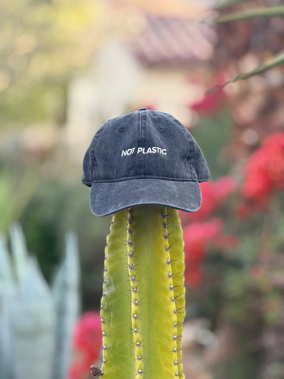 Not Plastic Hat